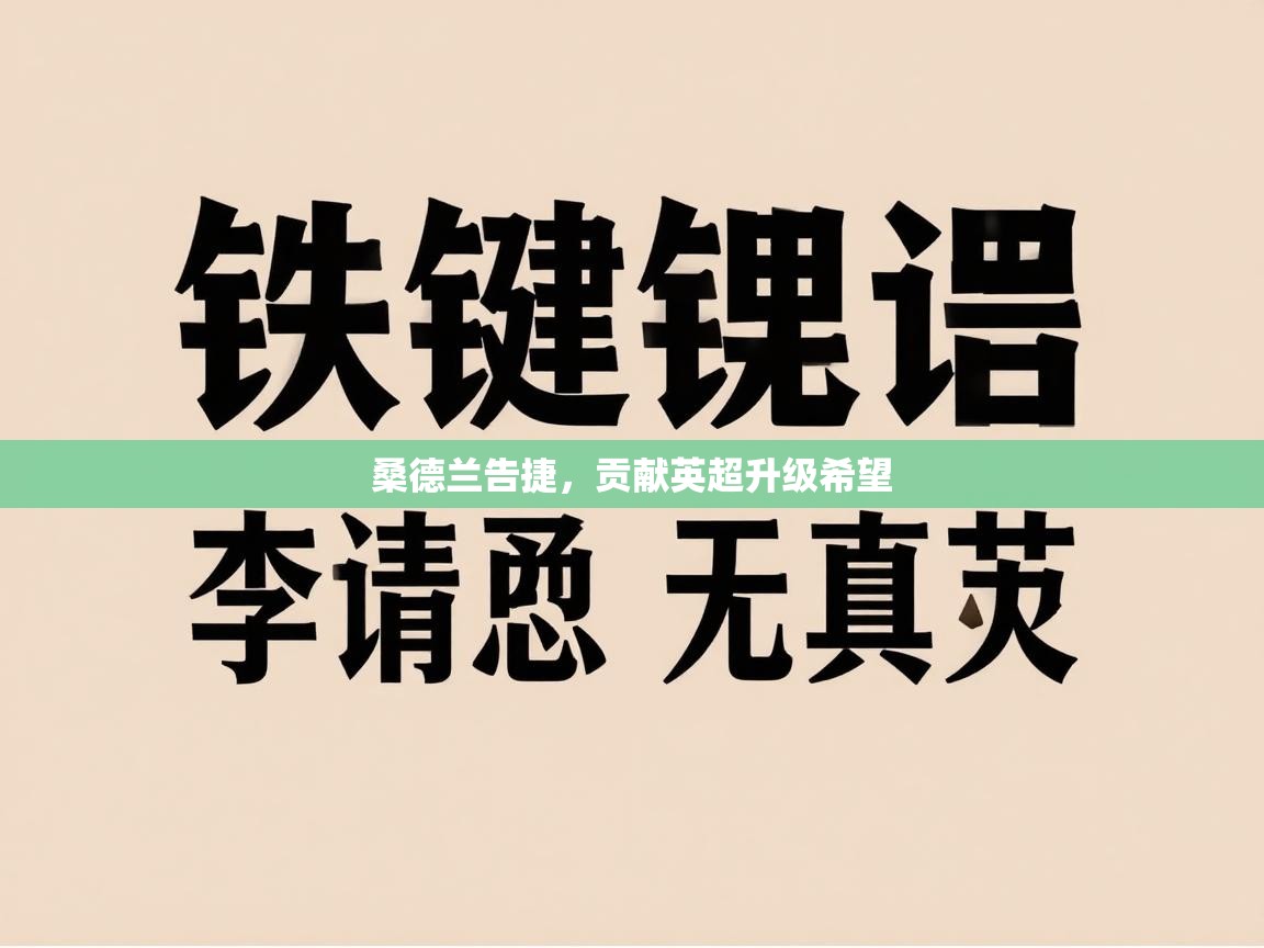 桑德兰告捷，贡献英超升级希望  第2张